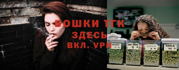 дживик Пересвет