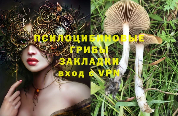 дживик Пересвет