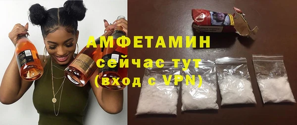 дживик Пересвет