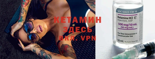 дживик Пересвет