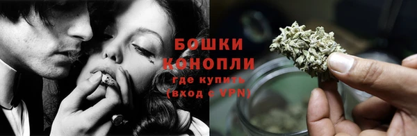 дживик Пересвет
