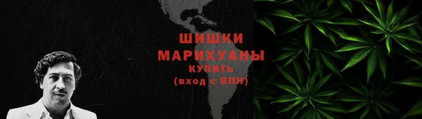дживик Пересвет