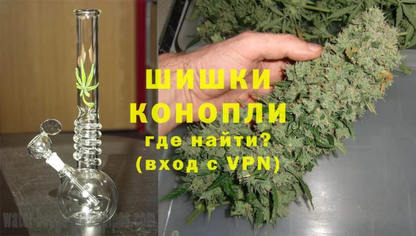 дживик Пересвет