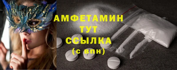 дживик Пересвет
