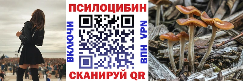 Купить где Новокузнецк Галлюциногенные грибы GOLDEN TEACHER